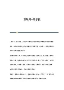 互联网+两手抓
