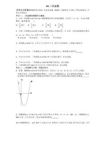 2021年九年級數學新觀察中考復習專題第10題