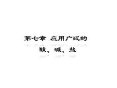 2011年中考化学复习课件 应用广泛的酸、碱、盐