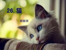 (免费）郑振铎《猫》课件3