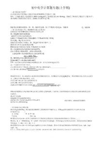 初中化學上學期計算題專題一及答案