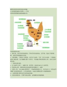 腺胃炎肌胃炎的优化防治措施