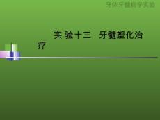 牙体牙髓病学实验