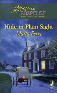 Hide in Plain Sight.pdf （英文言情小說，2009年）
