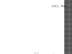 实验五、梅毒
