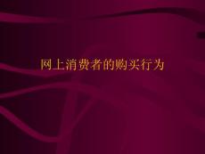 網上消費者的購買行為