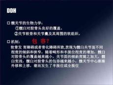 成人髋关节发育不良
