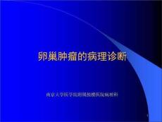 卵巢肿瘤病理诊断