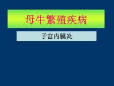 母牛繁殖疾病-子宫内膜炎