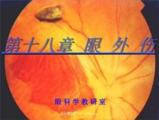 眼外伤-教学课件