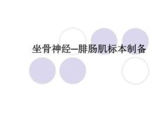 坐骨神经腓肠肌标本制备