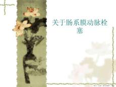 肠系膜动脉栓塞