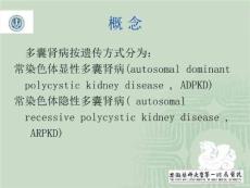 《多囊肾梁朝朝》PPT课件