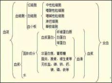 白细胞减少症医学