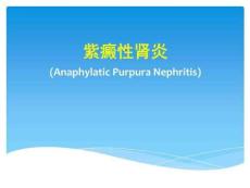《紫癜性肾炎》PPT课件