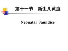 黄疸败血症-课件