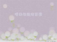 嗜铬细胞瘤影像