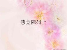 感觉障碍上