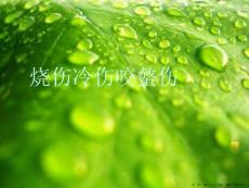 烧伤冷伤咬螫伤 (2)