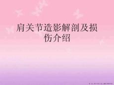 肩关节造影解剖及损伤介绍