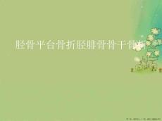 胫骨平台骨折胫腓骨骨干骨折