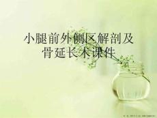 小腿前外侧区解剖及骨延长术课件
