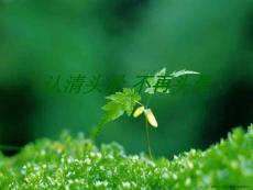 认清头晕 不再头晕 (2)