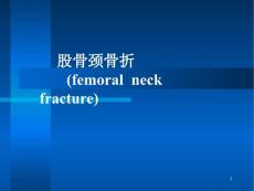 股骨颈骨折〖〗