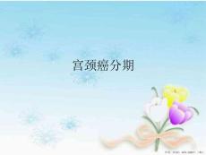 宫颈癌分期
