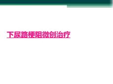 下尿路梗阻微创治疗