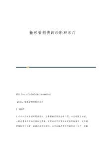 输尿管损伤的诊断和治疗