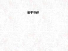 扁平苔藓PPT课件