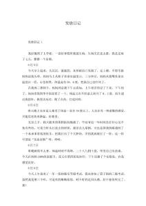 发烧日记