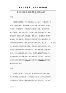 美短虎斑貓的習性及飼養方法借鑒材料