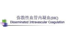 弥散性血管内凝血DIC课件
