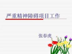 严重精神障碍PPT