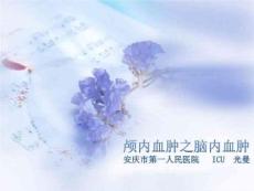 颅内血肿之脑内血肿课件