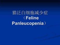猫泛白细胞减少症