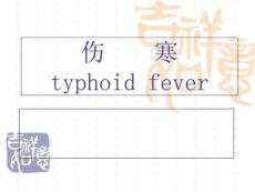 伤寒和副伤寒课件