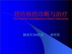 肾结核的诊断与治疗