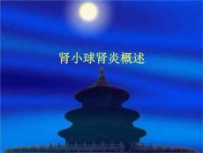 肾小球肾炎概述、肾小球疾病