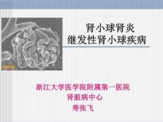 肾小球肾炎继发性肾小球疾病