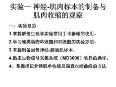 实验三神经-肌肉标本的制备与肌肉收缩的观察