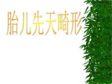 胎儿先天性畸形讲课