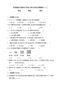 新蘇教版小學數學六年級下冊小升初全真模擬卷（二）（含答案）