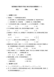 新蘇教版小學數學六年級下冊小升初全真模擬卷（一）（含答案）