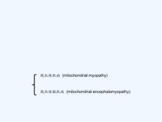 线粒体脑肌病介绍