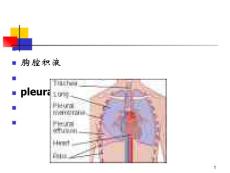 胸腔积液定义