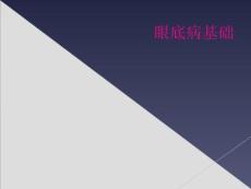 眼底病基础