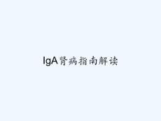 iga肾病指南解读 ppt
